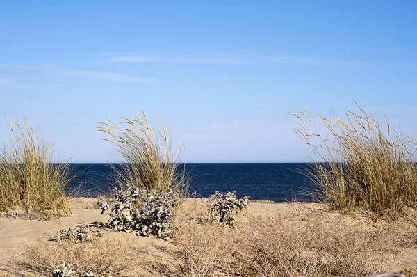 Beach landscape — Stock Photo, Image