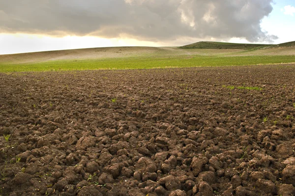 Sol brun des champs cultivés — Photo