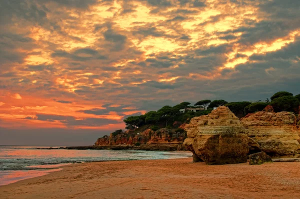 Beach sunset — Stock Photo, Image