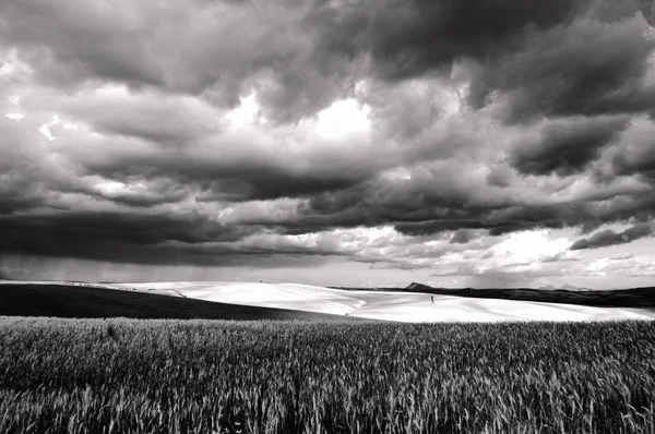 Campo paisaje — Foto de Stock