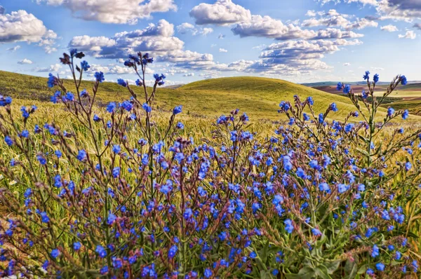 Landscape — Stock Photo, Image