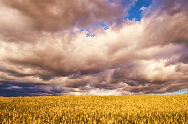 Overskyet himmel – stockfoto