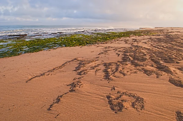 Kust — Stockfoto