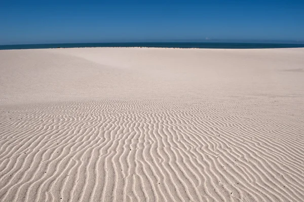 Dunes on beach — Stock Photo, Image