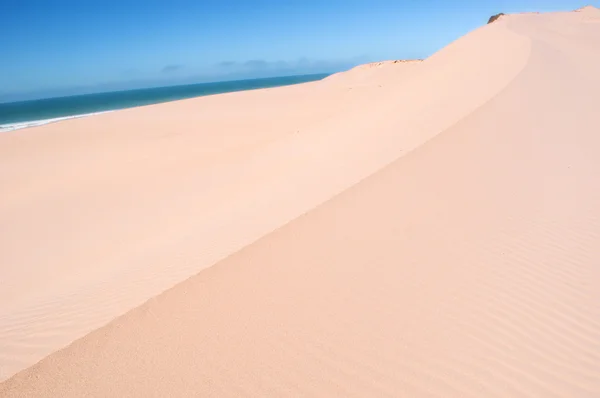 Duinen op strand — Stockfoto