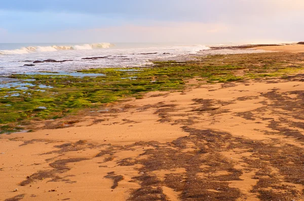 Beautiful coast — Stock Photo, Image