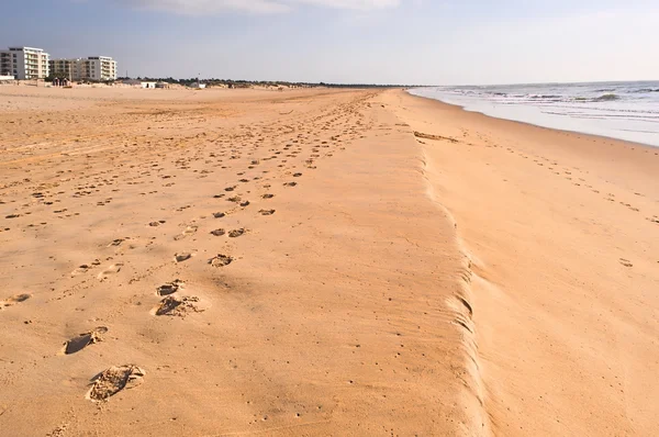 Strand — Stockfoto