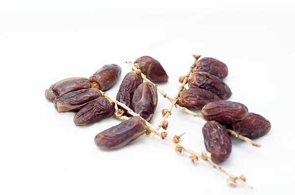 taze tarihleri