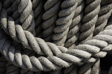 halatlar üzerinde birlikte koyun