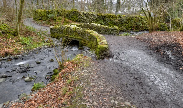 Footbridge — Stock Fotó