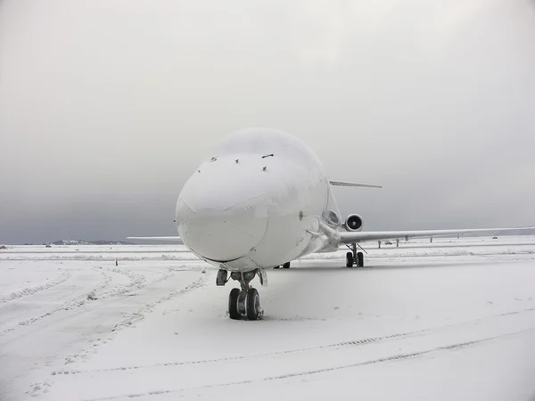 Sova i snön — Stockfoto