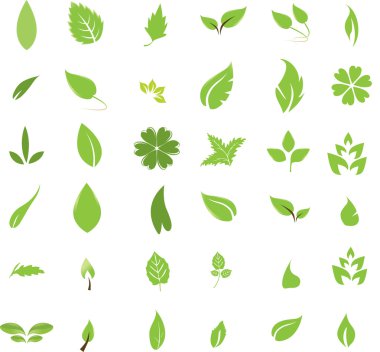 Isolated leaves clipart