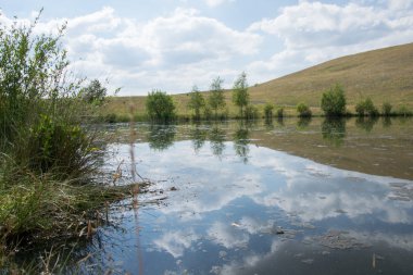 Göldeki ağaçların yansıması.