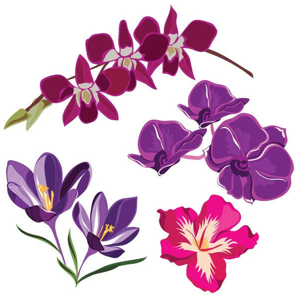 Set di fiori realistici, isolati su sfondo nero . — Vettoriale Stock