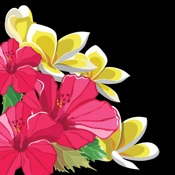 히 비 스커 스, frangipani과 아름 다운 꽃 패턴 — 스톡 벡터