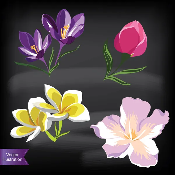 Set van realistische bloemen, geïsoleerd op zwarte achtergrond. — Stockvector