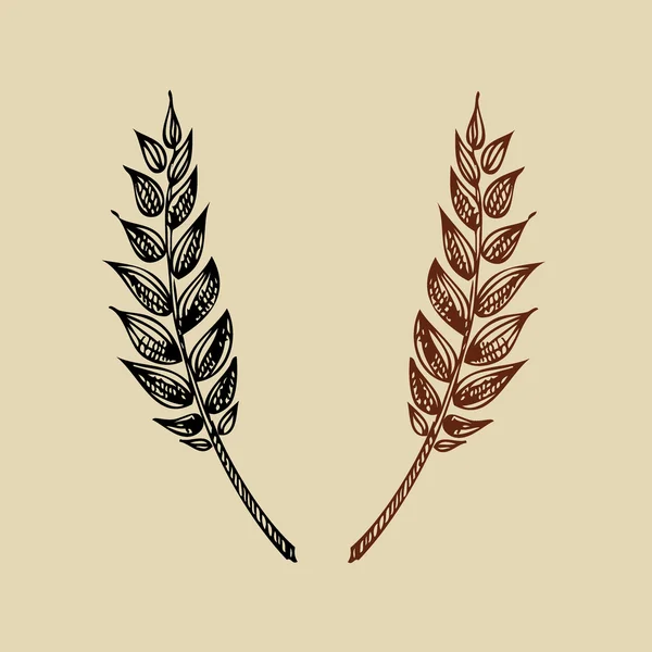 Пшеница. Хлебопекарный дизайн . — стоковый вектор