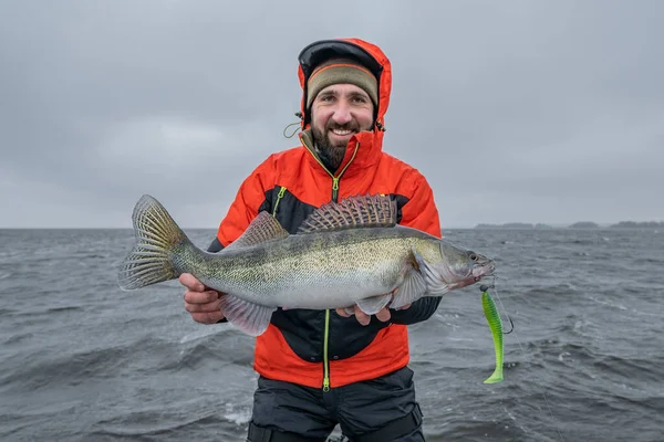 Succes Met Snoekbaars Vissen Gelukkig Visser Met Grote Walleye Vis — Stockfoto