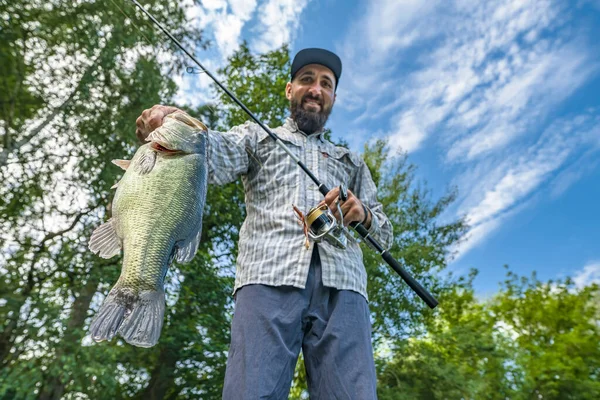 Bassfiske Stor Abborre Händerna Nöjd Fiskare Med Spinnspö Storkäftsabborre Vid — Stockfoto