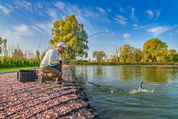 エリアマス釣り ロッドを回転させることによって湖の漁師の猫魚 釣り人が釣り針で魚を捕まえた — ストック写真