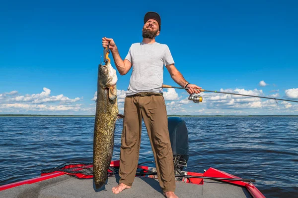 Framgångsrikt Fiske Efter Havskatt Glad Fiskare Med Stor Seatfish Trofé — Stockfoto