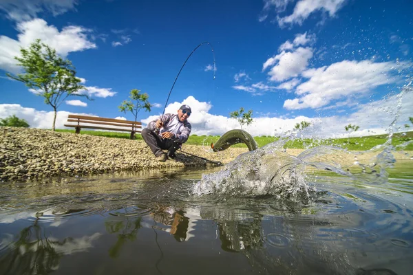 エリアマス釣り 魚のジャンプスプラッシュ ロッドを回転させることによって湖の漁師の猫魚 — ストック写真