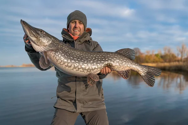 Framgångsrikt Gäddfiske Lycklig Fiskare Hålla Enorma Muskie Fisk — Stockfoto