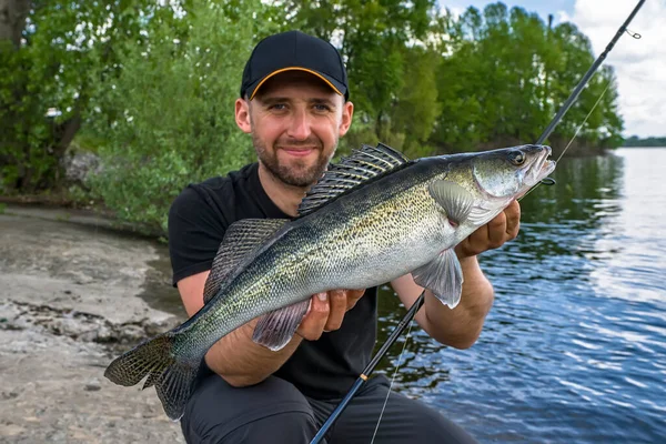 Successful Zander Fishing Happy Fisherman Big Walleye Fish — Stockfoto