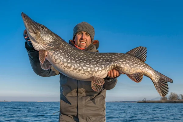 Framgångsrikt Gäddfiske Lycklig Fiskare Hålla Enorma Muskie Fisk — Stockfoto