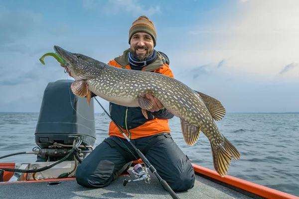 Succesvolle Snoekvisserij Gelukkig Visser Houden Reusachtige Muskie Vis — Stockfoto