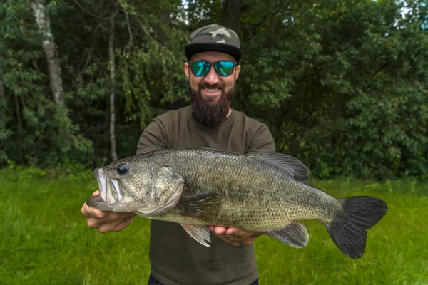 Bass Fishing Large Bass Fish Hands Pleased Bearded Fisherman Largemouth — 图库照片