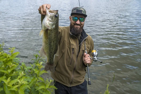 Bass Fishing Large Bass Fish Hands Pleased Bearded Fisherman Tackle — Photo