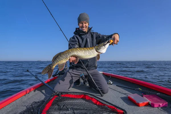 Pike Fishing Successful Fisherman Hold Big Muskie Fish — Stockfoto