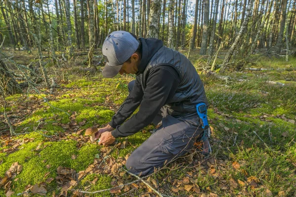 Άνθρωπος Στο Δάσος Μαζεύει Μανιτάρια Φθινοπωρινή Εποχή Ψαλίδι Μαχαίρι Και — Φωτογραφία Αρχείου