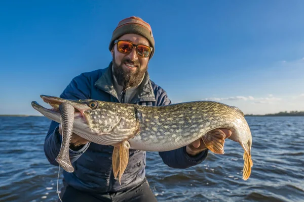 Success Pike Fishing Fisherman Sunglasses Holds Muskie Fish — Foto Stock