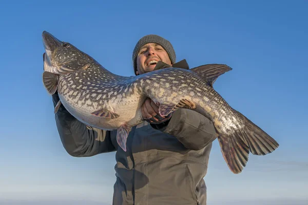 Framgångsrikt Gäddfiske Lycklig Fiskare Hålla Enorma Muskie Fisk — Stockfoto