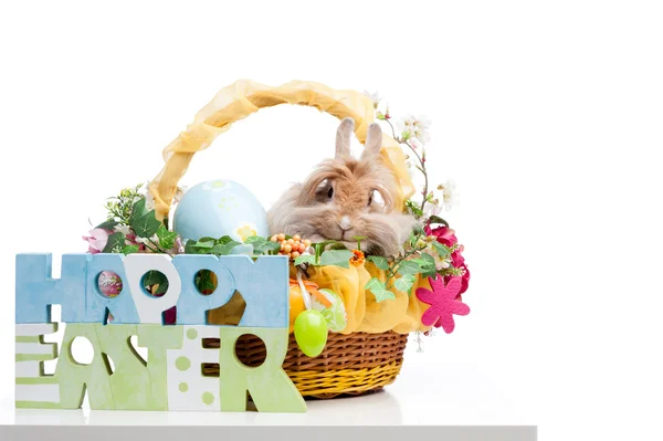 Composición de Pascua —  Fotos de Stock