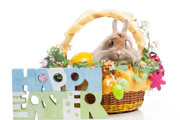 Easter composition — Stock Photo, Image