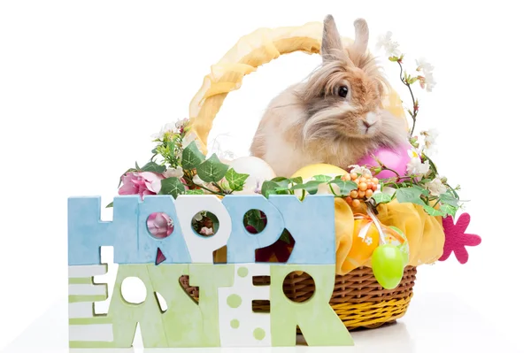 Easter composition — Stock Photo, Image