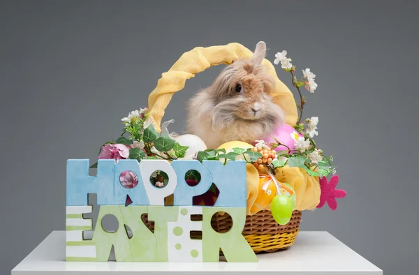 Composición de Pascua — Foto de Stock