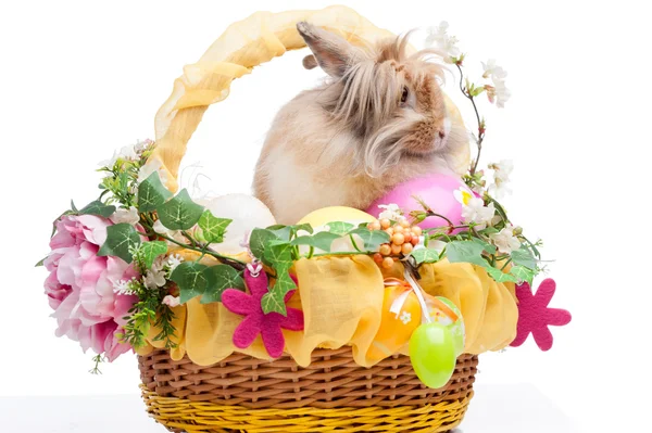 Easter composition — Stock Photo, Image