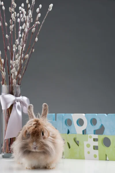 Osterkomposition — Stockfoto