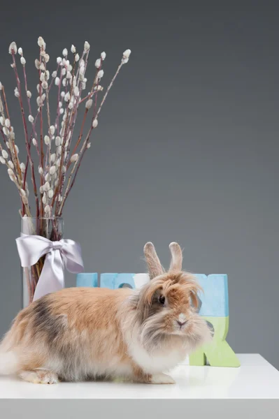 Osterkomposition — Stockfoto