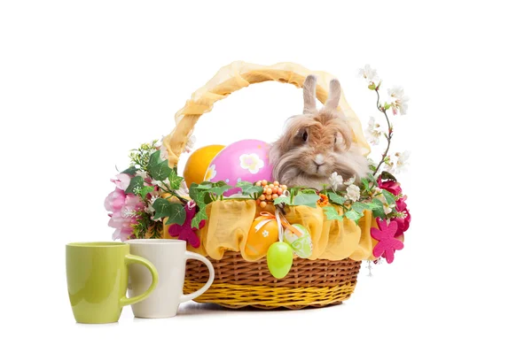 Composición de Pascua — Foto de Stock