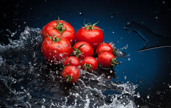 Tomates em água — Fotografia de Stock