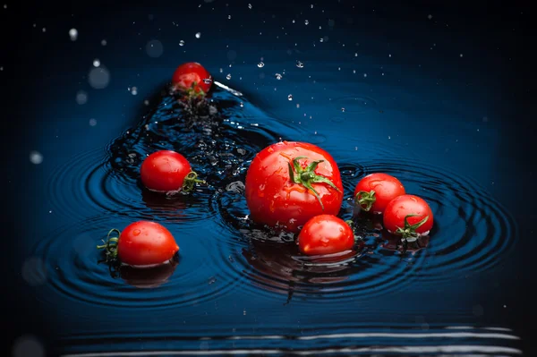 Tomates em água — Fotografia de Stock