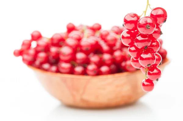 Red currant  in plate — Stock Photo, Image