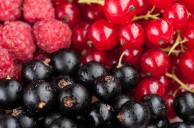 çilek kompozisyon üzümü ve ahududu