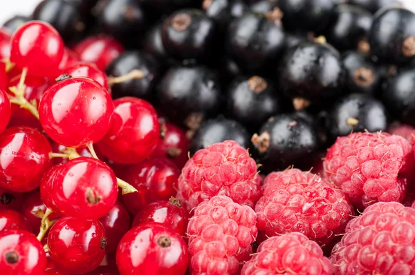 Composizione bacche ribes e lampone — Foto Stock