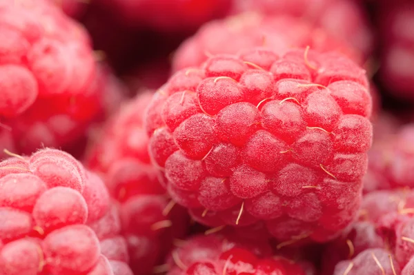 Red raspberry background — Stock Photo, Image